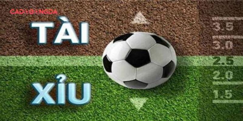 Kèo châu Âu phân biệt kèo