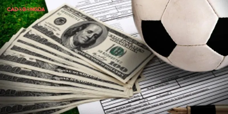 Luật cá cược chuẩn xác nhất hiện nay cho hội viên