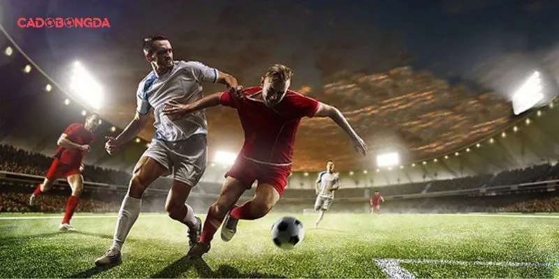 Nhà cái bóng đá uy tín hiện nay cho hội viên