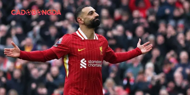 Phong độ thi đấu cầu thủ