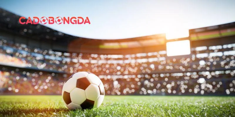 Tổng hợp loại hình rủi ro cá độ