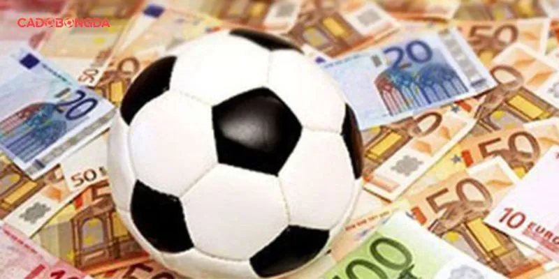 Thuật ngữ cá độ bóng đá được định nghĩa chính xác